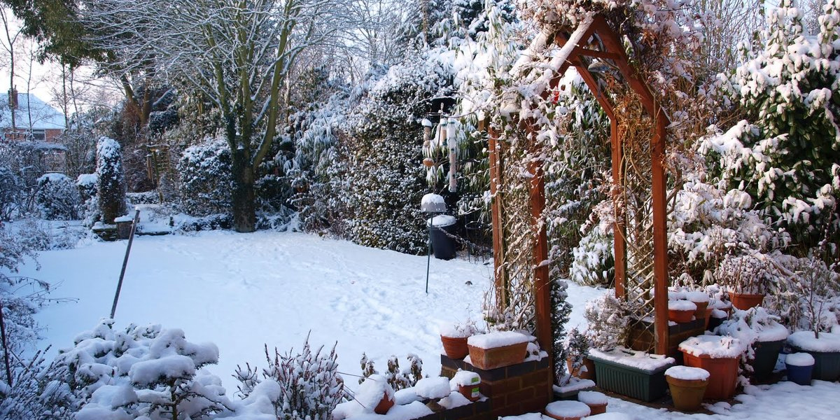Готовим декоративный сад к зиме
